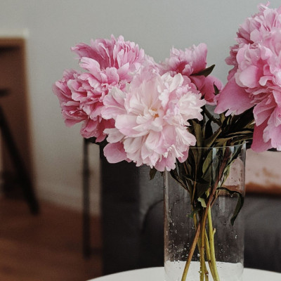 Πώς οι παιώνιες φέρνουν θετική ενέργεια στο σπίτι σου σύμφωνα με το feng shui