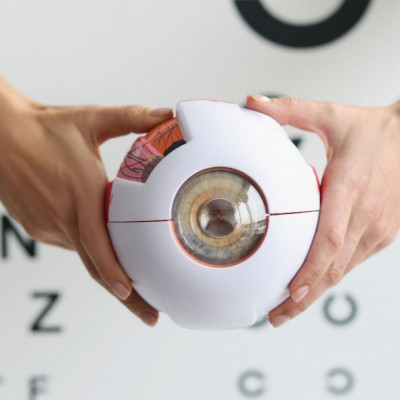 7 αυτοάνοσα νοσήματα που φαίνονται στα μάτια (εικόνες)