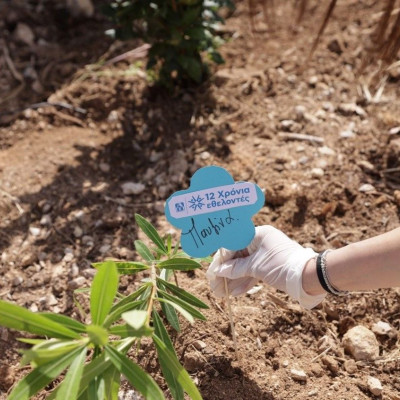  «Ημέρα Εθελοντισμού ΑΒ»: Δώσαμε ραντεβού στο Κερατσίνι για καλό σκοπό!