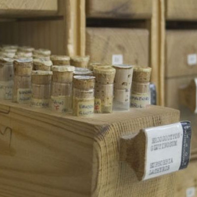 KORRES: Το brand που ξεκίνησε από το Παγκράτι και κατέκτησε τον κόσμο