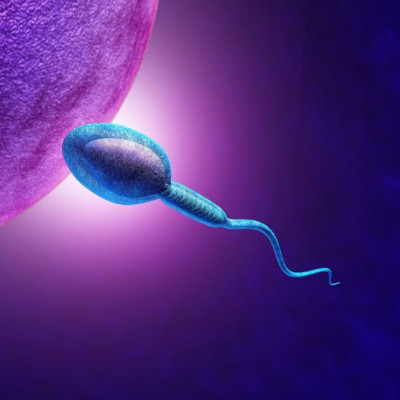 Για πρώτη φορά παρήχθη σπέρμα σε εργαστήριο – Πώς δημιουργήθηκε και γιατί είναι σημαντική ανακάλυψη