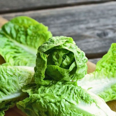 Μαρούλι: Τα οφέλη για την υγεία και οι τρόποι αποθήκευσής του