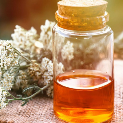 Αχιλλέα: Το βότανο που ανακουφίζει από τους πόνους περιόδου