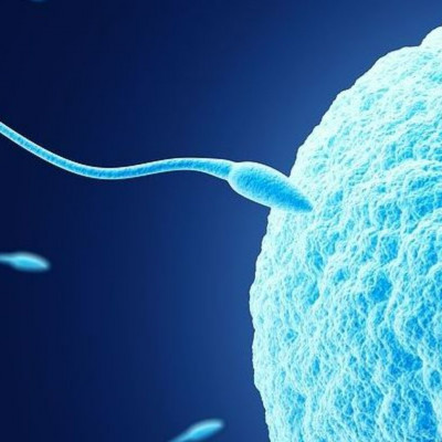 Γιατί τα ωάρια μπορούν να ζήσουν για μισό αιώνα και να γονιμοποιηθούν; - μελέτη