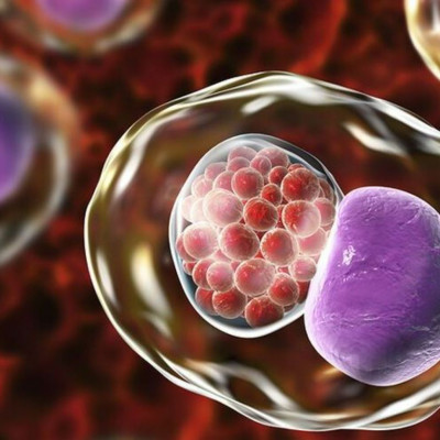 Χλαμύδια ή τριχομονάδες; Τα διαφορετικά συμπτώματα, η διάγνωση και η θεραπεία