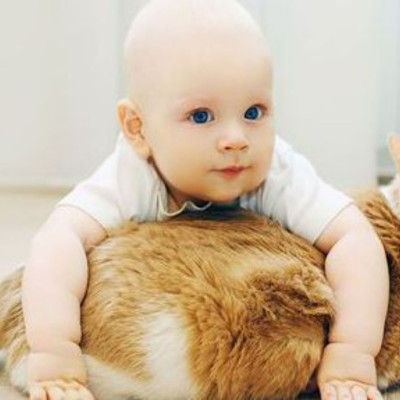 Είχες γάτα όταν ήσουν παιδί; Ίσως αναπτύξεις ψυχωτικό επεισόδιο, σύμφωνα με μελέτη