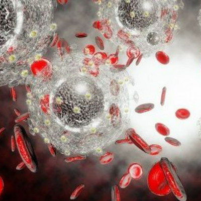 Eρευνητές εντοπίζουν πώς θανατηφόρος μύκητας αναπτύσσει αντοχή στα φάρμακα - μελέτη