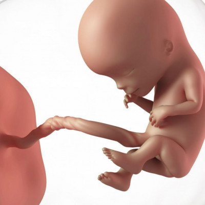 Εγκυμοσύνη: Ανακαλύφθηκε μηχανισμός έγκαιρης διάγνωσης γενετικών ανωμαλιών μέσω τεχνητής νοημοσύνης