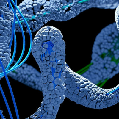 Ανακαλύφθηκε το μόριο «κλειδί» για τη θεραπεία του καρκίνου