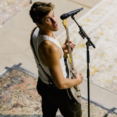 Την ώρα που η Camila Cabello επιβεβαίωνε τη νέα σχέση της ο Shawn Mendes έκανε... πάρτι