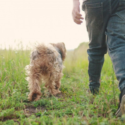 Οι λόγοι που η γυμναστική με τον σκύλο σας είναι ευεργετική και για τους δυο σας