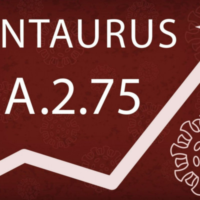 Κένταυρος: Τι πρέπει να γνωρίζετε για την υποπαραλλαγή του κορονοϊού