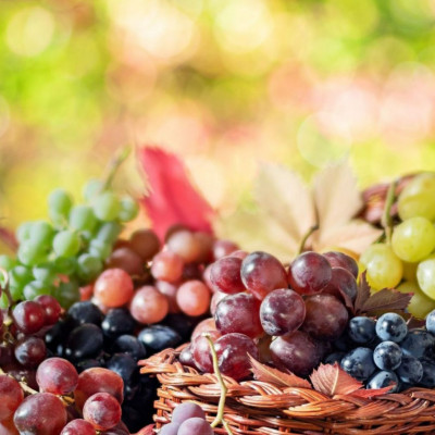 Ποια είναι η εκπληκτική επίδραση που έχουν τα σταφύλια στο σώμα; - μελέτη