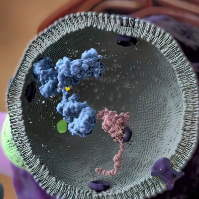 Καλπάζει παγκοσμίως ο καρκίνος σε ενήλικες κάτω των 50 ετών  - Ποιοι είναι οι παράγοντες κινδύνου