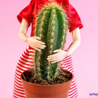 Τα τέσσερα ζώδια που εξιδανικεύουν τις τοξικές τους σχέσεις