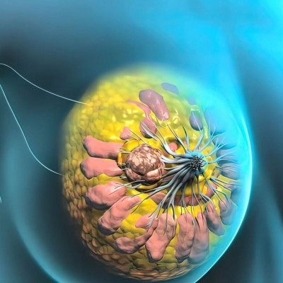 Το συμπλήρωμα που αυξάνει τον κίνδυνο καρκίνου και μεταστάσεων