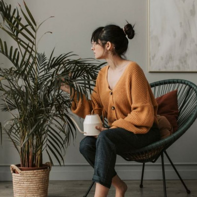 5 φυτά εσωτερικού χώρου που μπορούν να σε βοηθήσουν να αποφύγεις το κρυολόγημα και τη γρίπη