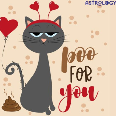 Ποιο ζώδιο εκφράζει περισσότερο η γάτα στην φωτογραφία;