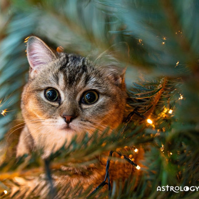 Διάβασε ΔΩΡΕΑΝ την προσωπική σου πρόβλεψη, για σήμερα 25/12/2022