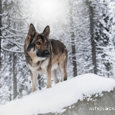 Διάβασε ΔΩΡΕΑΝ την προσωπική σου πρόβλεψη, για σήμερα 27/12/2022