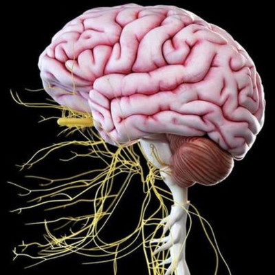 Οι νευρολογικές επιπτώσεις της Covid-19
