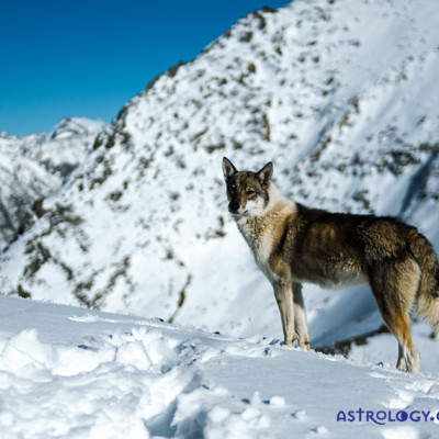 Διάβασε ΔΩΡΕΑΝ την προσωπική σου πρόβλεψη, για σήμερα 29/12/2022