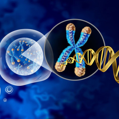 Σύνδρομο VEXAS: Τα συμπτώματα της μυστήριας πάθησης