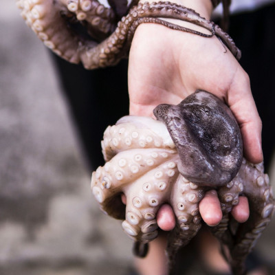 Το ξύδι είναι το μυστικό που έψαχνες για να γίνει μαλακό το χταπόδι
