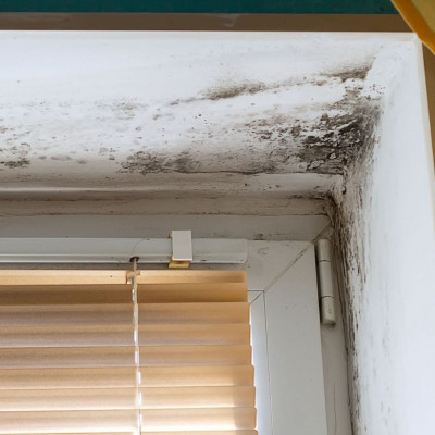 Αλλεργία στη μούχλα: Τα συμπτώματα και τι μπορείτε να κάνετε