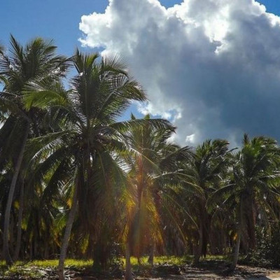 Survivor All Star Spoiler: Αυτός είναι ο 1ος παίκτης προς αποχώρηση