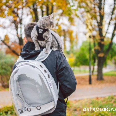 Αυτά τα ζώδια συμπεριφέρονται στα κατοικίδιά τους σαν παιδιά τους