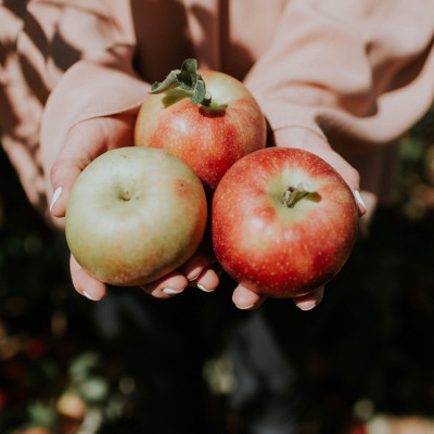 Πανελλήνιες 2023: 2 υγιεινά σνακ με ελάχιστες θερμίδες που θα σε γεμίσουν ενέργεια