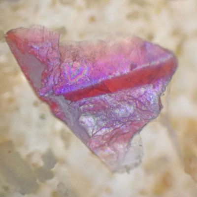 Μικροπλαστικά: Οι επιπτώσεις τους στο έντερο