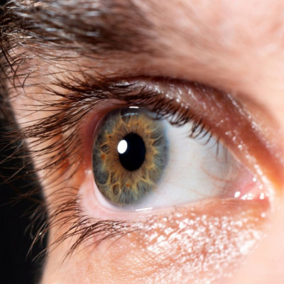 Αμφιβληστροειδής: Τι δείχνει για τον κίνδυνο Αλτσχάιμερ