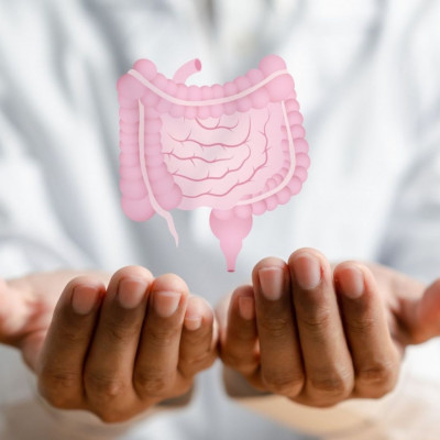 Βακτήρια εντέρου: Πώς συνδέονται με τον κίνδυνο Αλτσχάιμερ