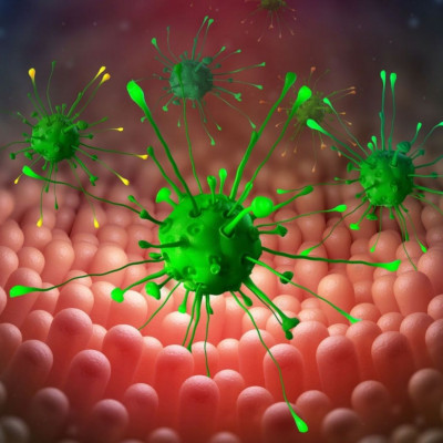 Βακτήρια εντέρου: Πώς συνδέονται με τον κίνδυνο εμφράγματος