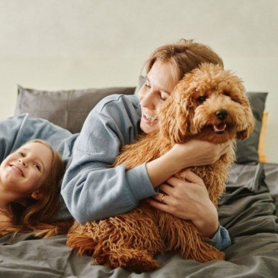 Θέλεις ένα ασφαλές και καθαρά υγιεινό σπίτι; Αυτό το κείμενο γράφτηκε για σένα!