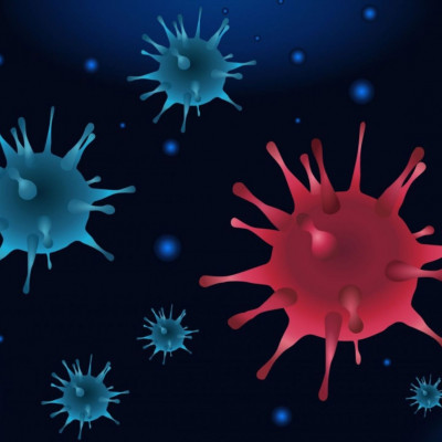 Υπάρχουν ευεργετικοί για την υγεία ιοί και πώς δρουν στον οργανισμό;