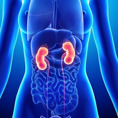 5 παθήσεις που απειλούν τα νεφρά