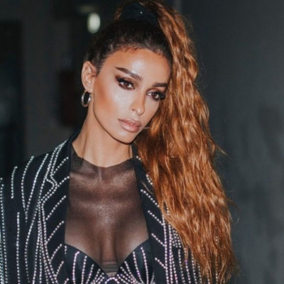 Ελένη Φουρέιρα: Τα συγκλονιστικά καρέ που μοιράστηκε από τις φωτιές