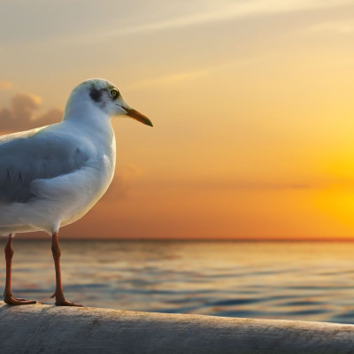 Διάβασε ΔΩΡΕΑΝ την προσωπική σου πρόβλεψη, για σήμερα 29/08/2023