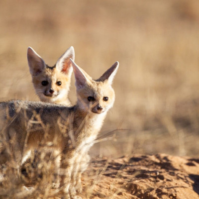 Διάβασε ΔΩΡΕΑΝ την προσωπική σου πρόβλεψη, για σήμερα 31/08/2023