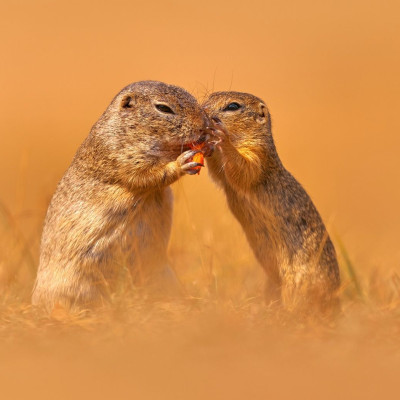 Διάβασε ΔΩΡΕΑΝ την προσωπική σου πρόβλεψη, για σήμερα 28/08/2023