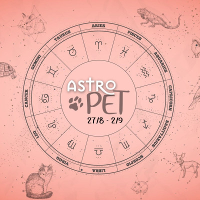AstroPet 27/08-02/09: Εβδομαδιαίες προβλέψεις για το κατοικίδιό σου