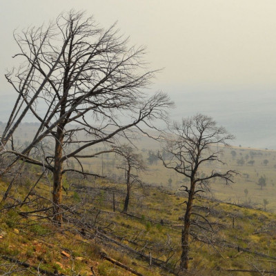 Ακραία καιρικά φαινόμενα: Οι επιπτώσεις στην ψυχική υγεία
