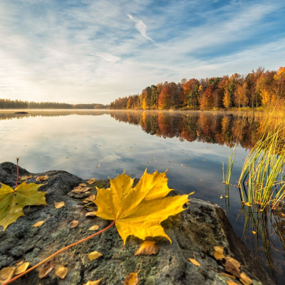 Διάβασε ΔΩΡΕΑΝ την προσωπική σου πρόβλεψη, για σήμερα 03/09/2023