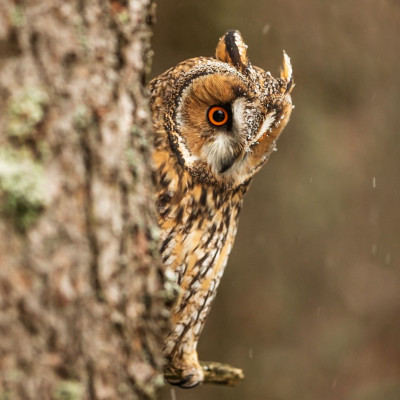 Διάβασε ΔΩΡΕΑΝ την προσωπική σου πρόβλεψη, για σήμερα 08/09/2023
