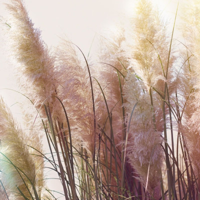 Διάβασε ΔΩΡΕΑΝ την προσωπική σου πρόβλεψη, για σήμερα 07/09/2023