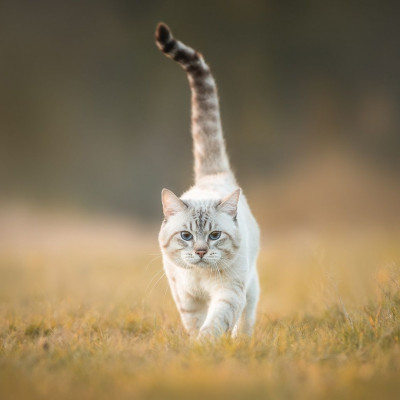 Διάβασε ΔΩΡΕΑΝ την προσωπική σου πρόβλεψη, για σήμερα 12/09/2023