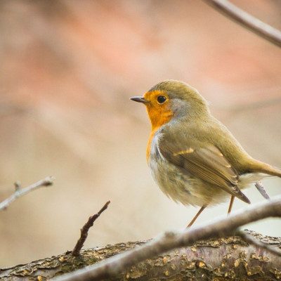 Διάβασε ΔΩΡΕΑΝ την προσωπική σου πρόβλεψη, για σήμερα 06/09/2023
